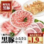 黒豚ふるさとセット 合計約2.3kg 黒豚餃子 12個入
