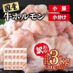 訳あり 牛ホルモン3kg 小腸 牛もつ小分け200g×15