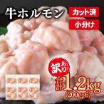 ふるさと納税 西都市 訳あり国産牛ホルモン1.2kg(小腸)牛もつ小分け200g×6　もつ鍋焼肉に[3046]