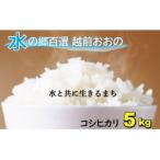 越前大野産 一等米 帰山農園のつきあかり 5kg