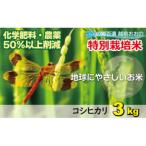 こしひかり エコファーマー 白米 米3kg