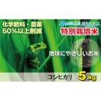 特別栽培こしひかり 5kg