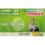 こしひかり 10kg