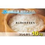 こしひかり エコファーマー米 白米 10kg