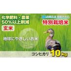 こしひかり 10kg
