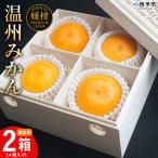 < 温州みかん 4個2箱 用温州みかん>