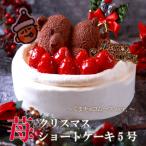 もりんのクリスマスケーキ 苺ショート★熊ちゃん