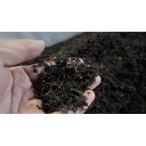 発酵和茶Trinitea 3点セット 一番茶TB缶
