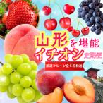 ふるさと納税 山形市 【定期便5回】やまがたを堪能!イチオシ定期便【令和8年産先行予約】FS25-086