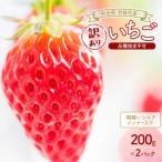 訳ありいちご 品種指定不可200g×2パック