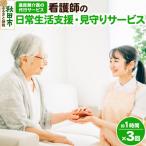 看護師の日常生活支援 見守りサービス 1時間