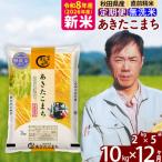 あきたこまち 10kg