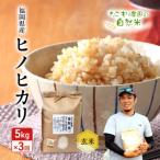 定期便 3回 特別栽培米 夢つくし 5kg