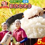 はれわたり 5kg