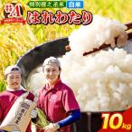 はれわたり 10kg