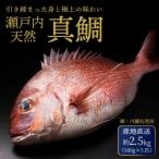 瀬戸内産 天然鯛 約2.5kg