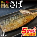 訳あり さば 骨取り 約1kg
