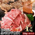A5等級 産黒毛和牛焼肉切落し 計1kg