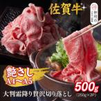 艶さし 佐賀牛大判霜降り贅沢切り落とし 500g