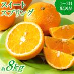 AA091. 福岡柑橘王国 スイートスプリング 約8kg