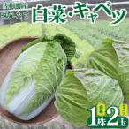 <2026年12月~お届け>事前受付中