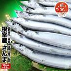 さんま10尾前後入 計1.5kg