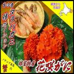 生冷凍たらばがに棒ポーション500g 花咲がに4尾