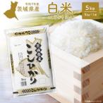 ふるさと納税 境町 期間限定!! 【最短2日後〜7日以内発送】【令和7年産/白米】 こしひかり 5kg  茨城県産 米
