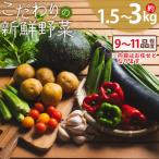 こだわりの新鮮野菜 9品~11品程度 af-0001