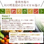 こだわりの新鮮野菜 2回定期 Waf-0002