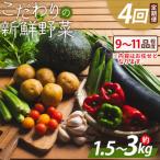 こだわりの新鮮野菜 4回定期 Waf-0004