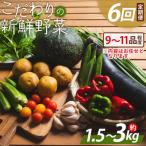 こだわりの新鮮野菜 6回定期 Waf-0005