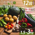 こだわりの新鮮野菜 12回定期 Waf-0006