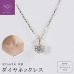 Pt900 プラチナ ダイヤ 0.1ct ネックレス