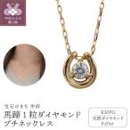 馬蹄 1石 ダイヤモンド プチネックレス J-509