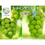 ふるさと納税 上山市 <2026年発送>【定期便:全2回】完熟シャインマスカット1kg以上を2回お届け　0140-2603