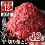 牛肉 すき焼き F01001 定期便 全12回