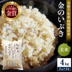 ふるさと納税 湯沢市 【令和7年産米 冷めても美味しい玄米】特別栽培米 金のいぶき 2kg×2袋[B8-2102]