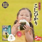 ふるさと納税 新地町 【令和7年産】米 5kg お米 こしひかり 福島 新地町産 白米