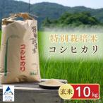 げんき米 コシヒカリ 玄米 10kg