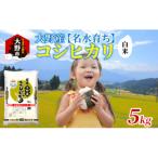 大野産コシヒカリ 白米 5kg