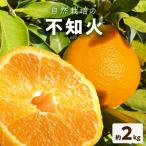 S178-004_ 不知火 約2kg