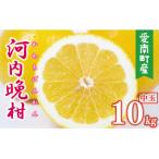 ふるさと納税 愛南町 �