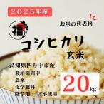 コシヒカリ 玄米 20kg