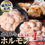 黒毛和牛 ホルモン 牛ホルモン 約1kg