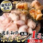 黒毛和牛 ホルモン 牛ホルモン 丸腸 計約1kg 約500g×2P