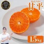 甘平 かんぺい 約1.5kg