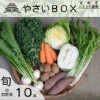 旬の野菜10品 やさいBOX 農家直送 野菜