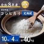 お米 コシヒカリ 10kg×4回