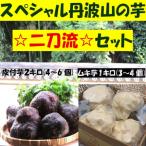スペシャル丹波山の芋☆二刀流☆セット
